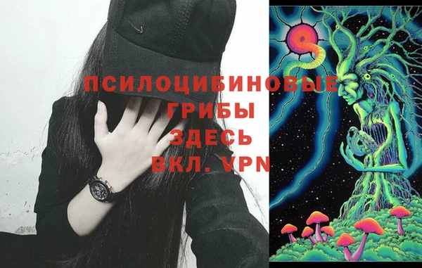 гашик Куйбышев