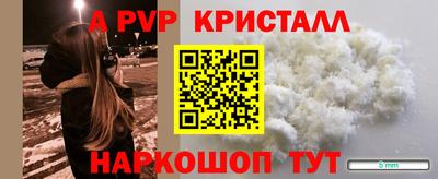 спиды Донской
