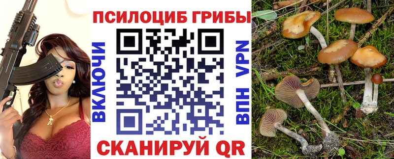 хочу   Осинники  Псилоцибиновые грибы прущие грибы 