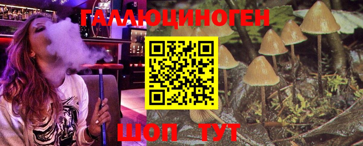 Осинники  Галлюциногенные грибы мицелий  наркота  Вход с VPN 